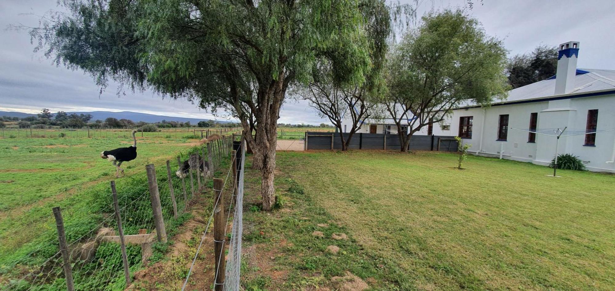 Вілла Karoo Leeu Self Catering Оудсгорн Екстер'єр фото